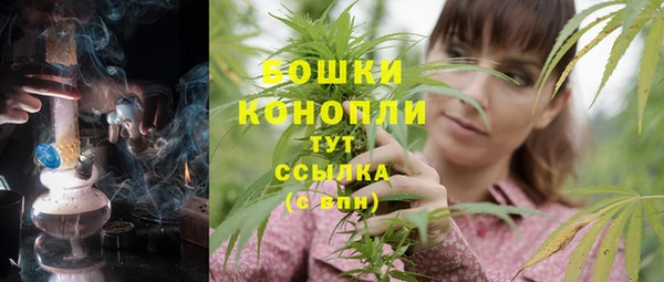 apvp Вуктыл